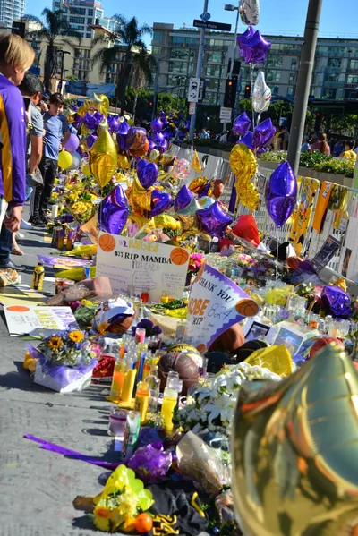 DSC_7135 (Large).JPG